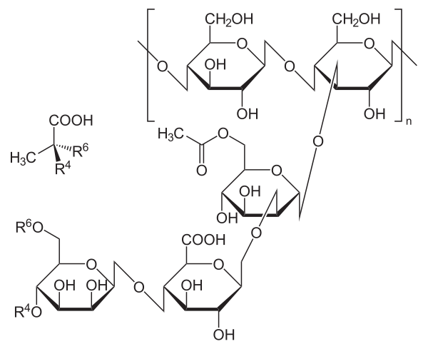 Xanthan gum