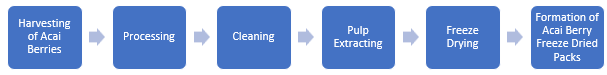 Acai Berry Freeze Dried Packs Manufacturing Plant Project Report