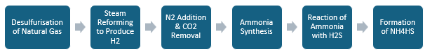 Ammonium Hydrosulfide Manufacturing Plant Project Report