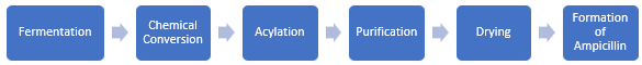 Ampicillin Manufacturing Plant Project Report