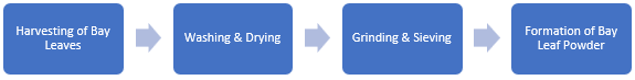 Bay Leaf Powder Manufacturing Plant Project Report