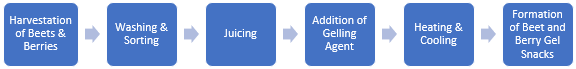 Beet and Berry Gel Snacks Manufacturing Plant Project Report