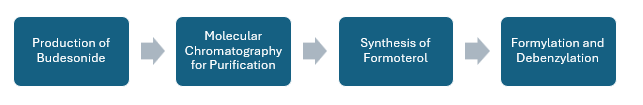 Global Budesonide or Formoterol (Symbicort) Manufacturing Plant Project Report