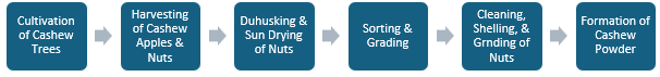 Cashew Powder Manufacturing Plant Project Report