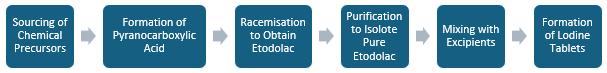 Etodolac (Lodine) Manufacturing Plant Project Report