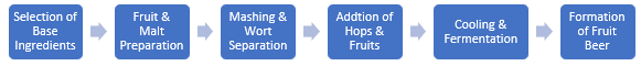 Fruit Beer Manufacturing Plant Project Report 