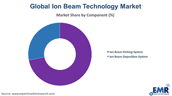 Ion Beam Technology Market by Component