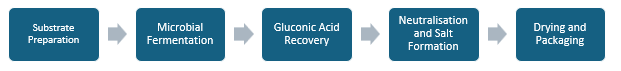 Gluconic Acid Manufacturing Plant Project Report