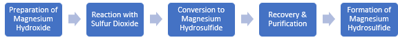 Magnesium Hydrosulfide Manufacturing Plant Project Report