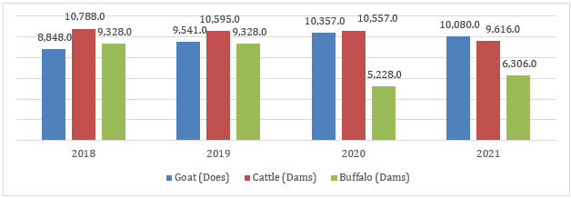 Figure: Number of Dairy Animals in Philippines, 2018-2023