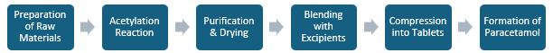 Paracetamol Manufacturing Plant Project Report
