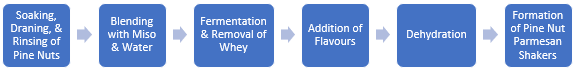 Pine Nut Parmesan Shakers Manufacturing Plant Project Report