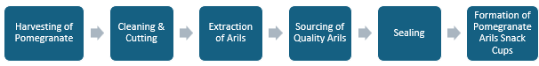 Pomegranate Arils Snack Cups Manufacturing Plant Project Report