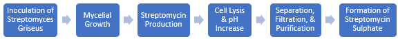 Streptomycin Sulphate Manufacturing Plant Project Report