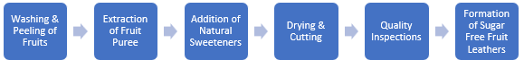 Sugar Free Fruit Leathers Manufacturing Plant Project Report