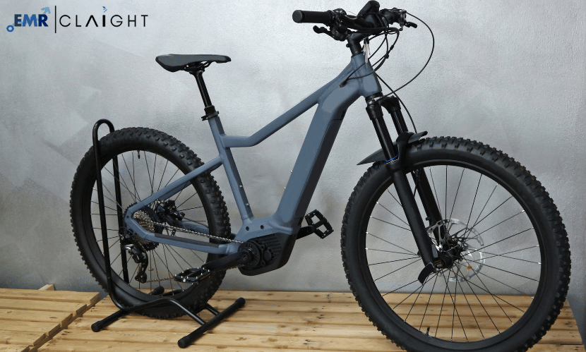 Top 5 Companies in the Europe E-Bike Market