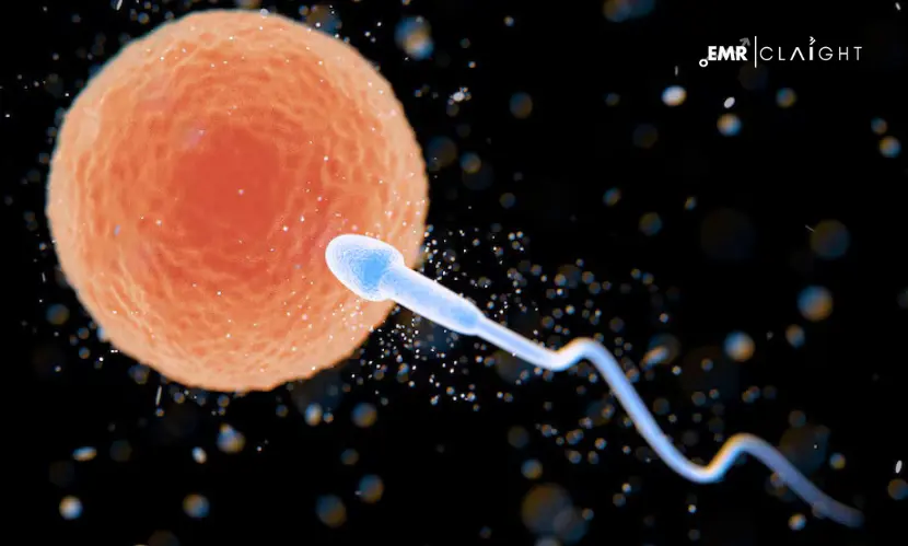 Top 5 Companies in the Global Sperm Bank Market