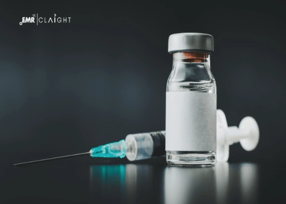 Top Companies in the Global Vaccine Market