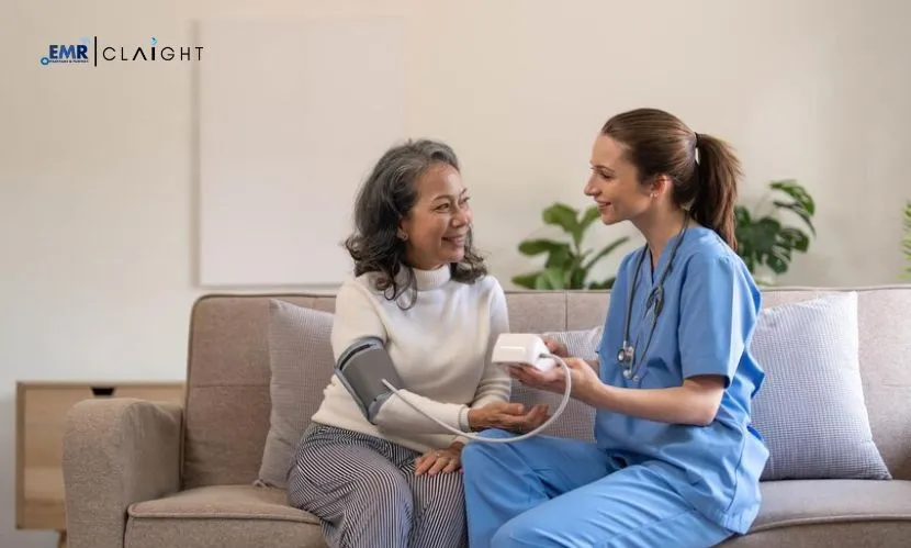 Top 8 Companies in the Home Healthcare Market