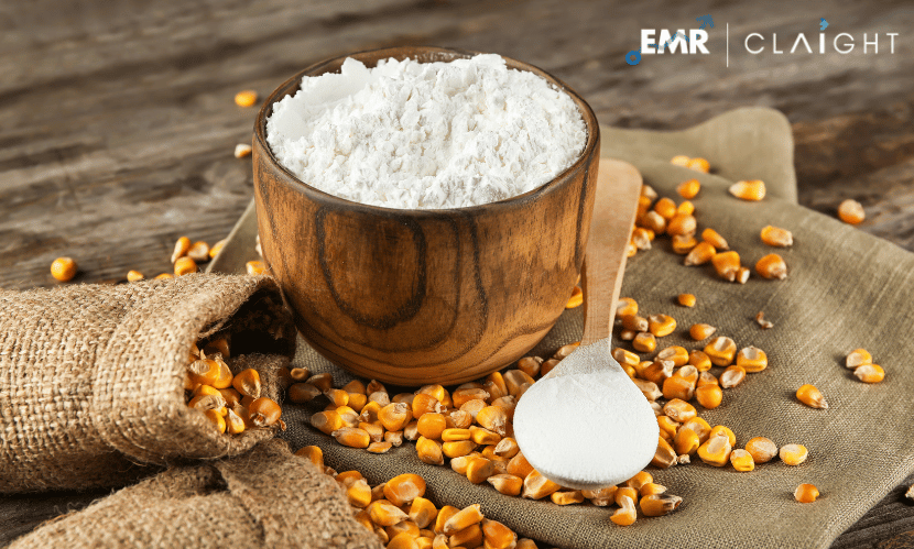 Corn Starch Market