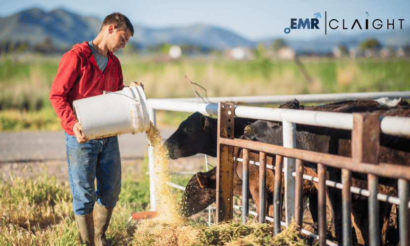 Indian Animal Feed Market