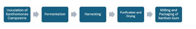 Xanthan Gum Production Cost Analysis Report