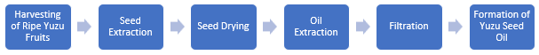 Yuzu Seed Oil Manufacturing Plant Project Report